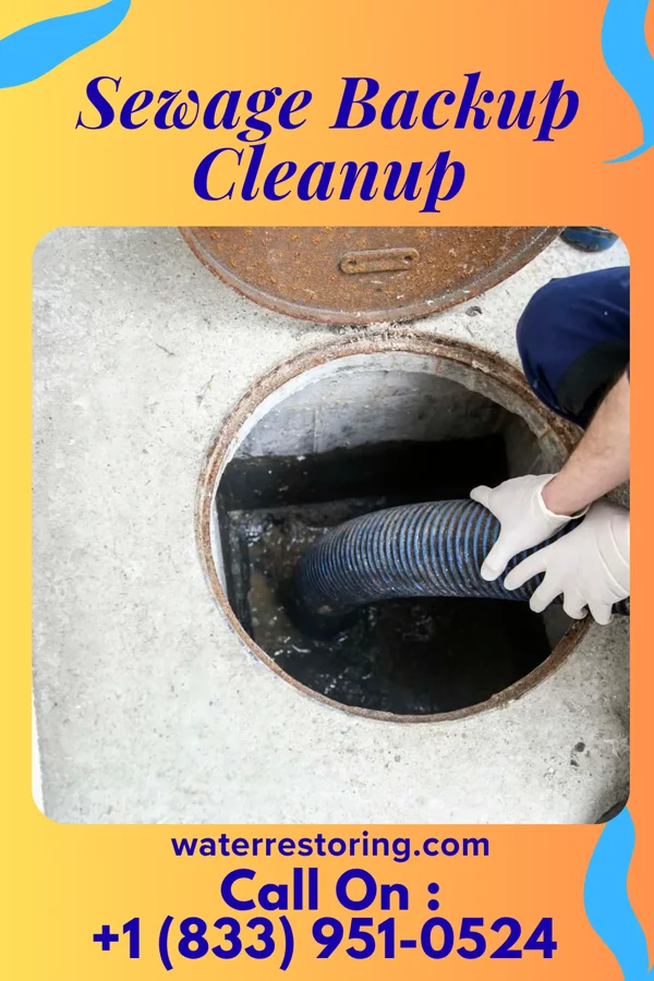 Sewage Backup Cleanup in Henrietta, MO