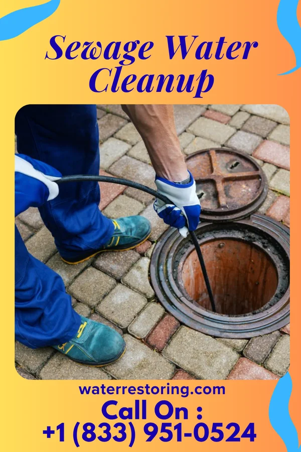 Sewage Water Cleanup in Henrietta, MO