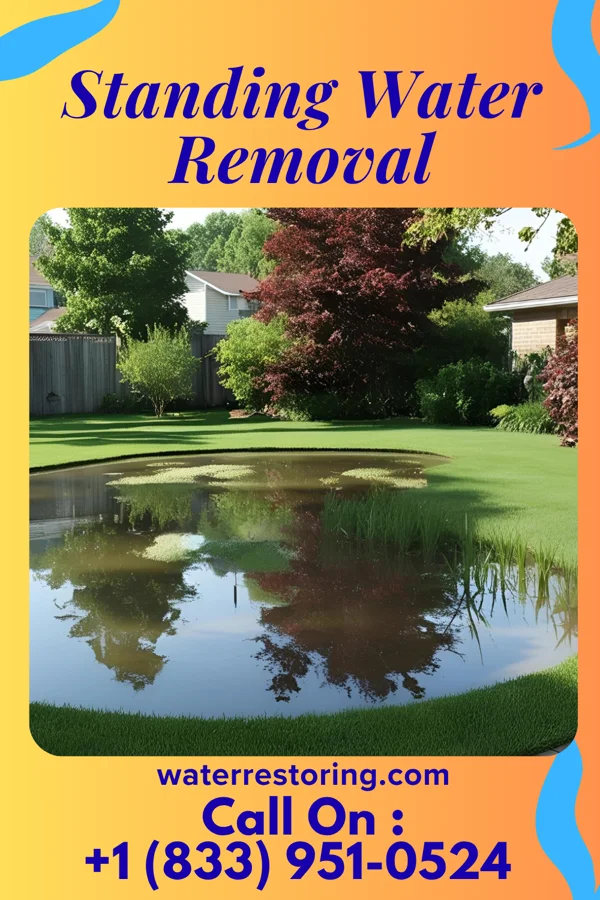 Standing Water Removal in Henrietta, MO